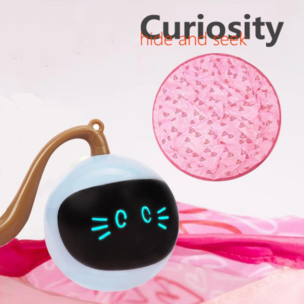 Magic Cat Hunting Cover with Interactive Ball – Foldable Cat Mat Toy for Kittens & Cats