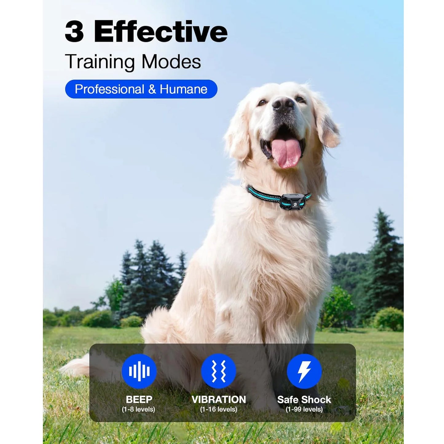 Companion’s Choice Dog Training Collar with Remote – 3300ft Range, Waterproof, Rechargeable E-Collar for Dogs 5–120 lbs, Long Battery Life